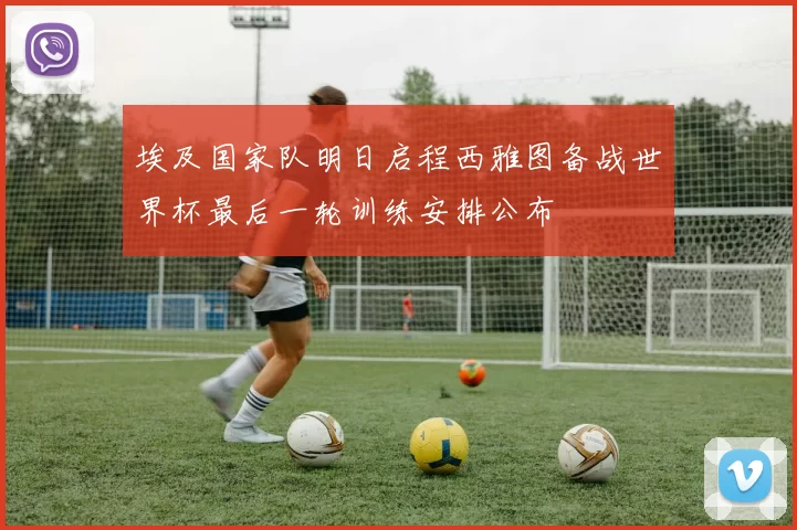 埃及国家队明日启程西雅图备战世界杯最后一轮训练安排公布