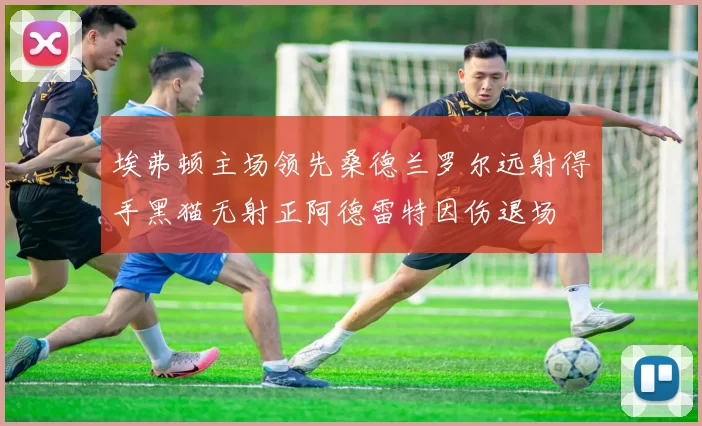 埃弗顿主场领先桑德兰罗尔远射得手黑猫无射正阿德雷特因伤退场